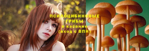 бошки Вязьма