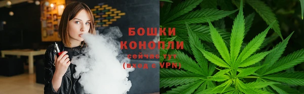 бошки Вязьма