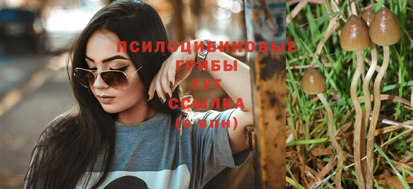 бошки Вязьма