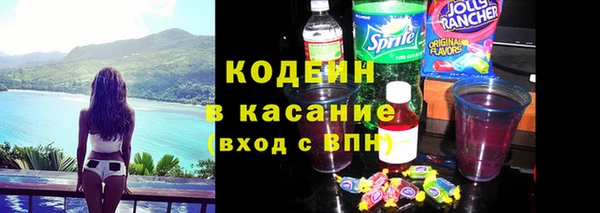 ГАЛЛЮЦИНОГЕННЫЕ ГРИБЫ Горно-Алтайск