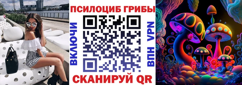 Псилоцибиновые грибы Psilocybine cubensis  Купить  Козловка 